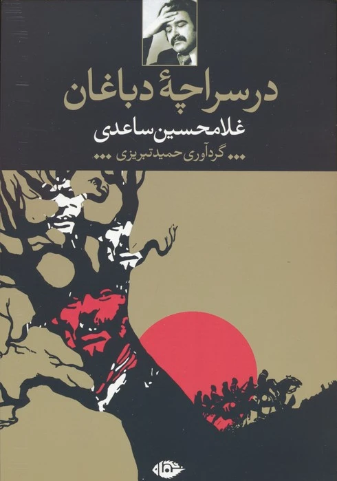 در سراچه دباغان