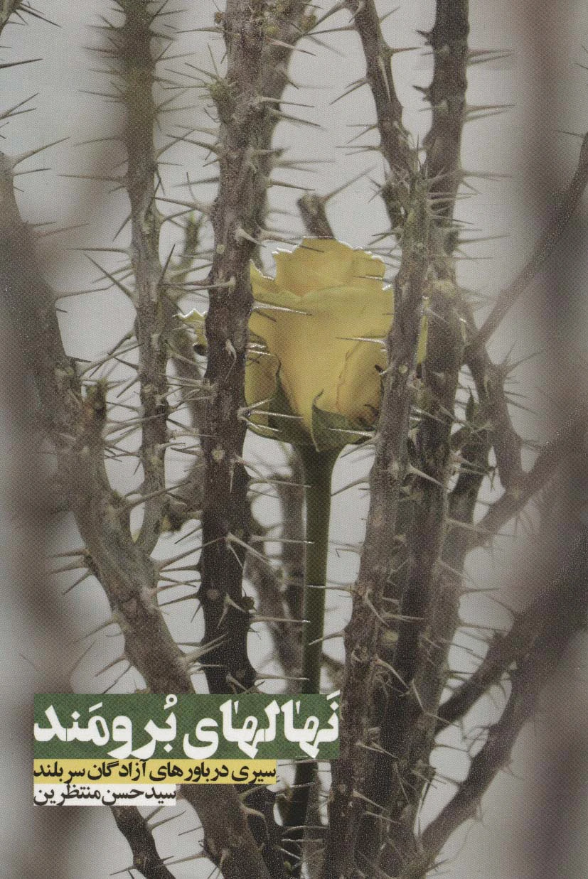 نهالهای برومند