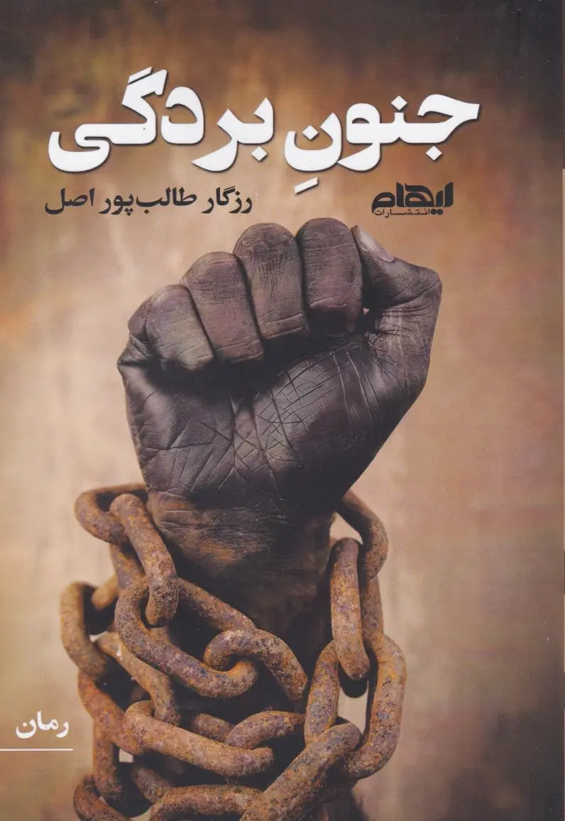 جنون بردگی