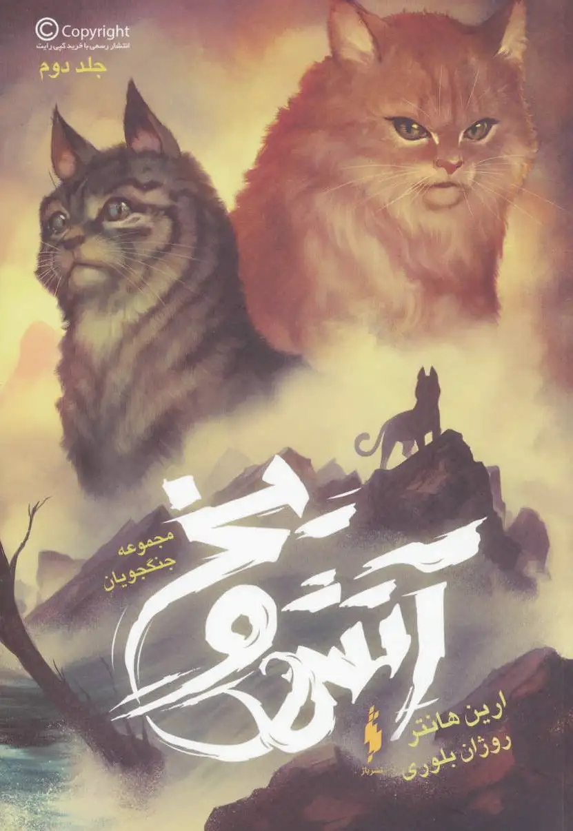 آتش و یخ