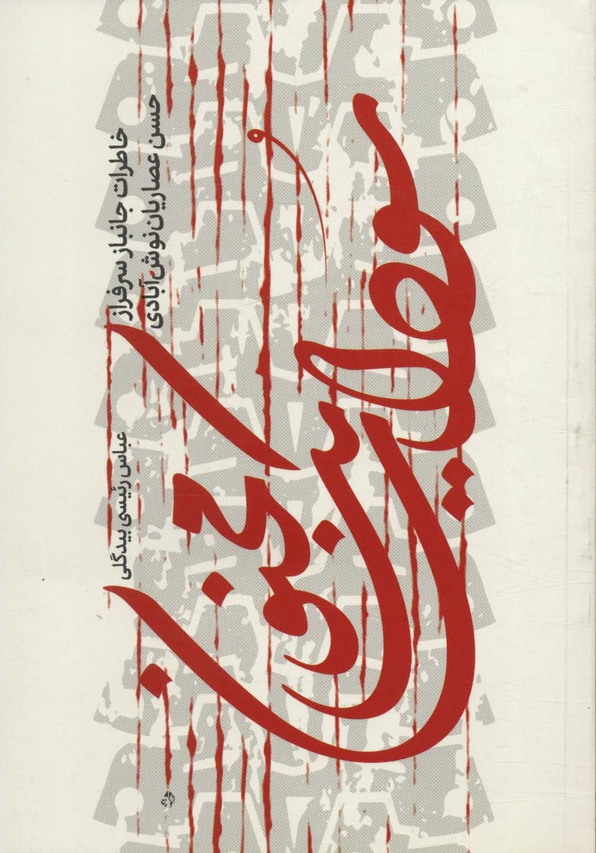 سودای یک مجنون