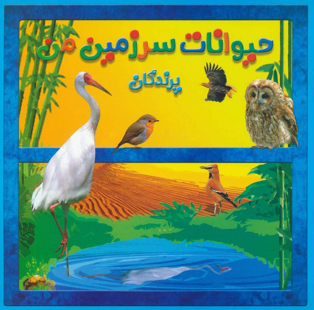 پرندگان