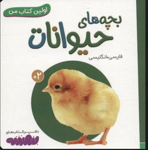 بچه های حیوانات