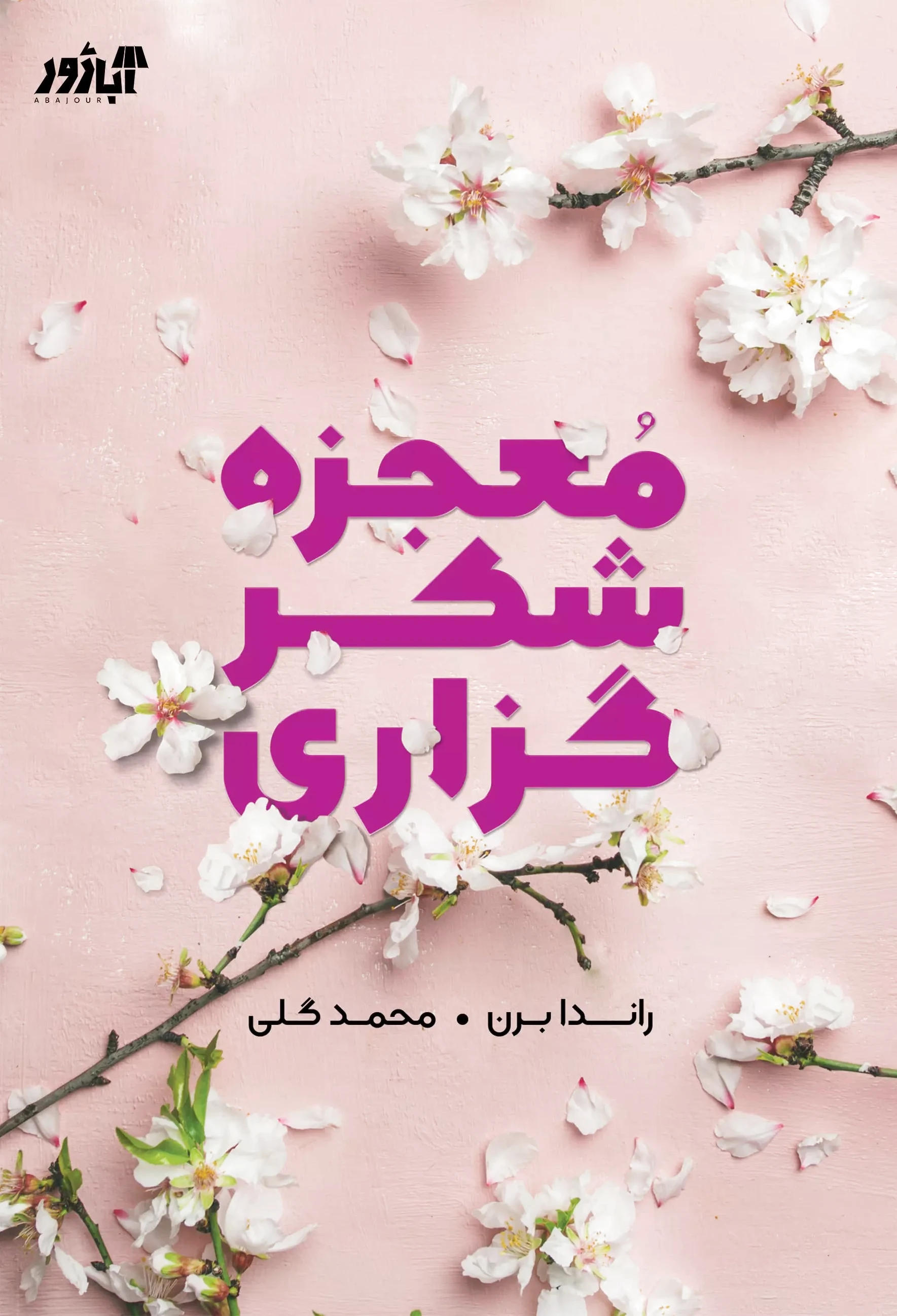 معجزه شکرگزاری