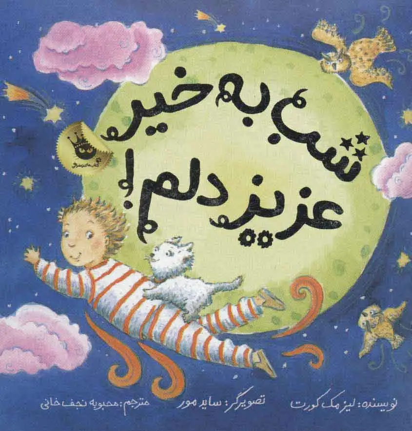 شب به خیر عزیز دلم!