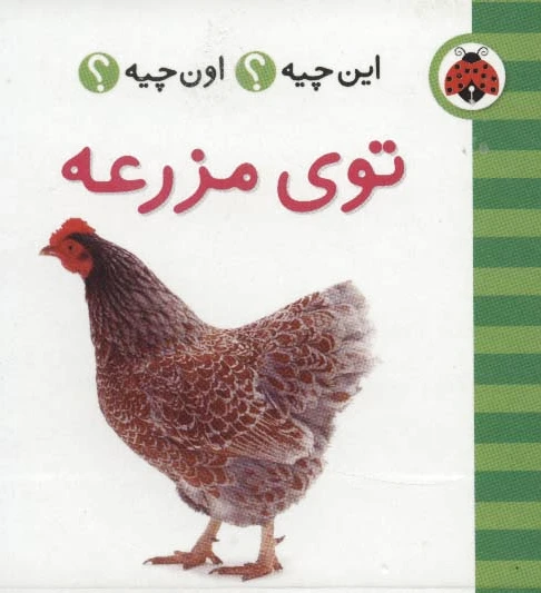 توی مزرعه