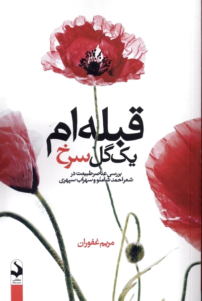 قبله ام یک گل سرخ