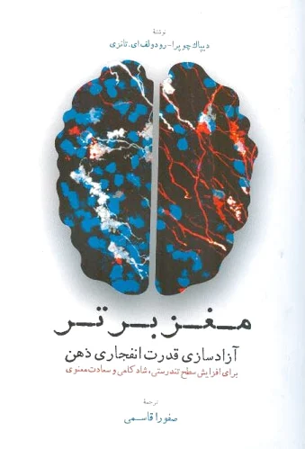 مغز برتر