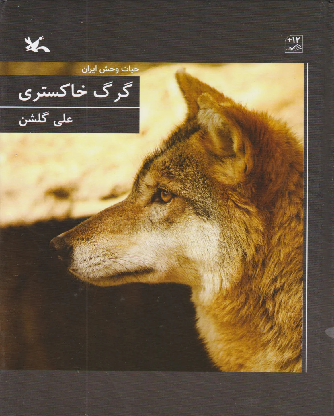 گرگ خاکستری