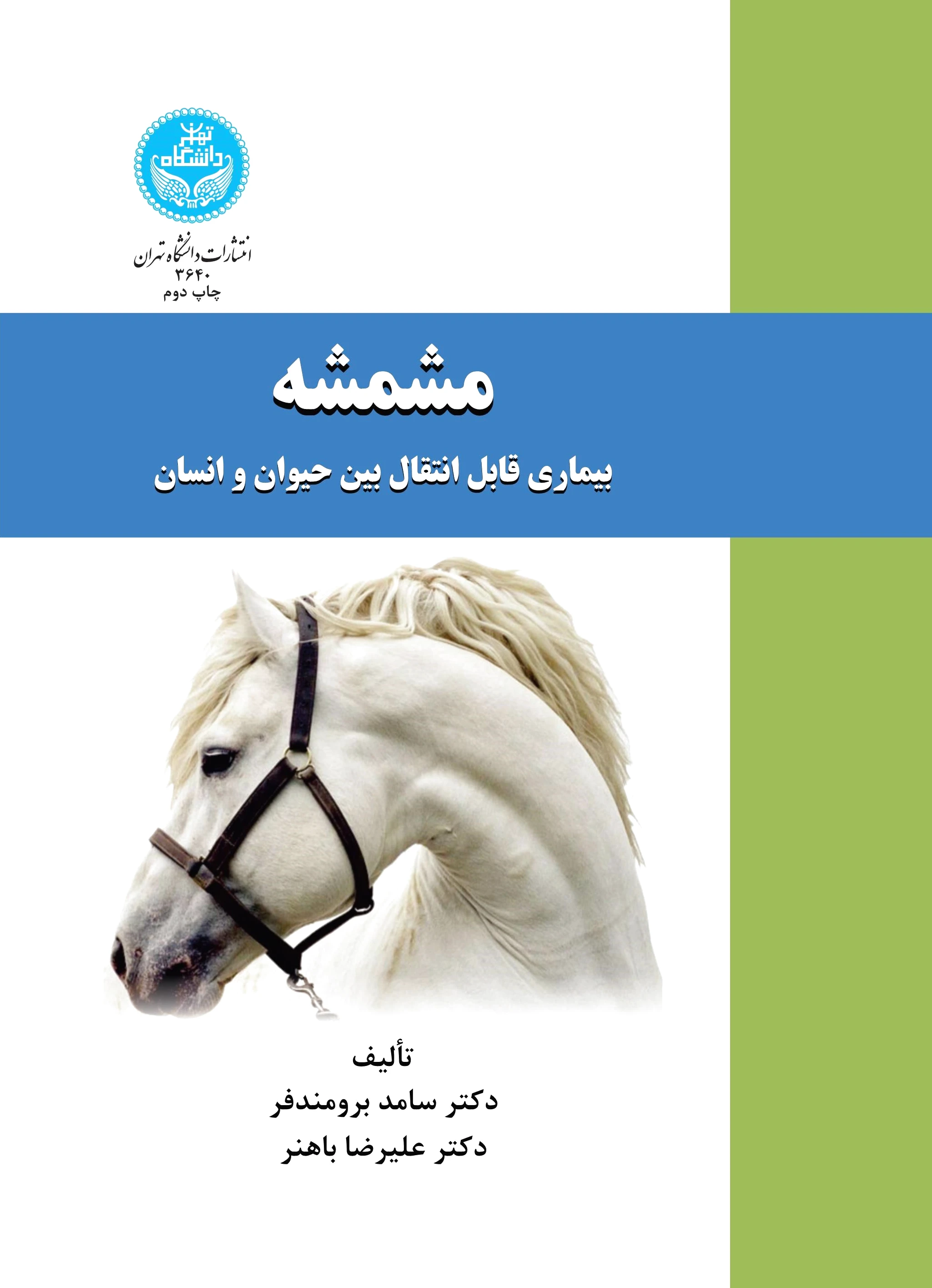 مشمشه