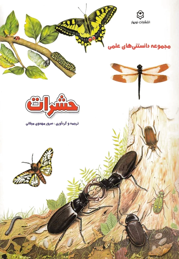 حشرات