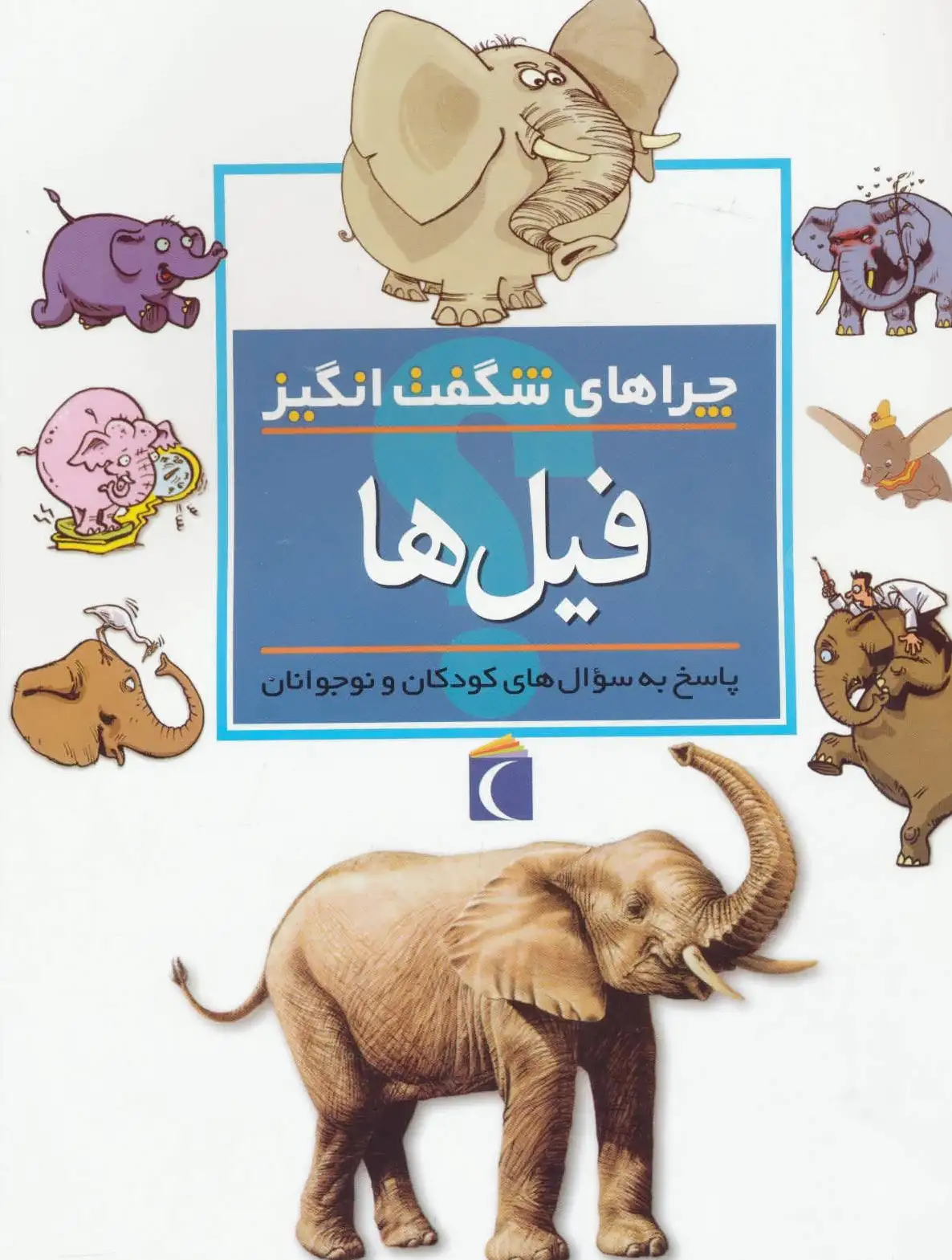 فیل ها