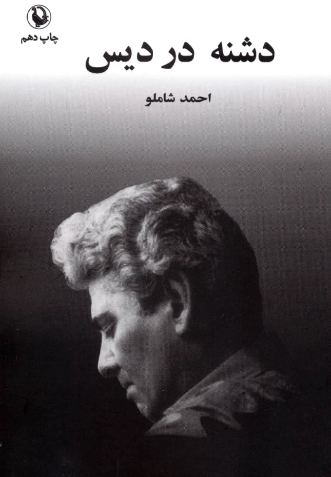 دشنه در دیس