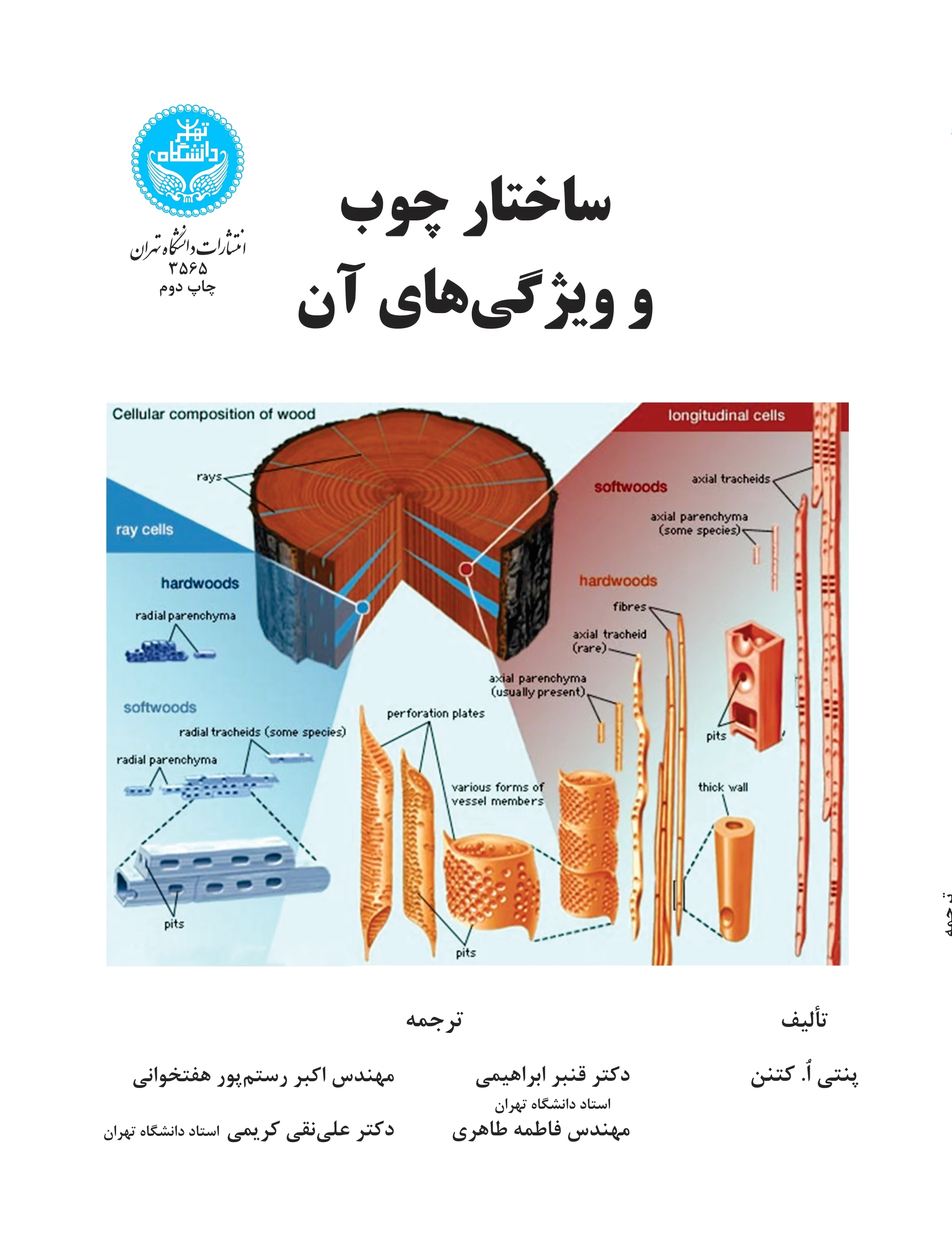ساختار چوب و ویژگی‌های آن