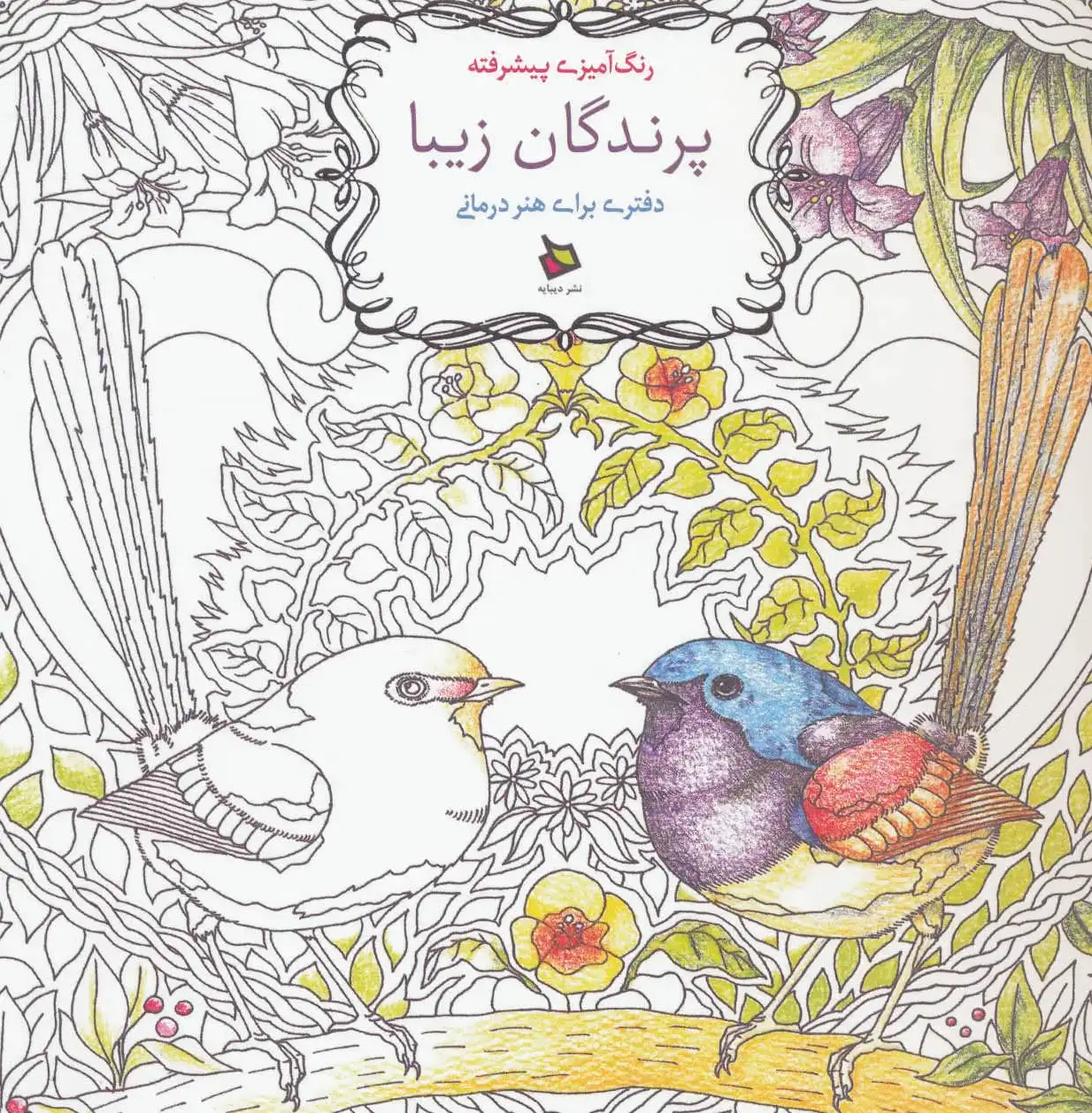 پرندگان زیبا