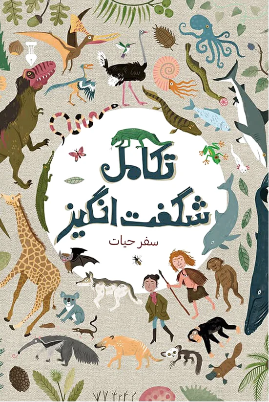 تکامل شگفت انگیز