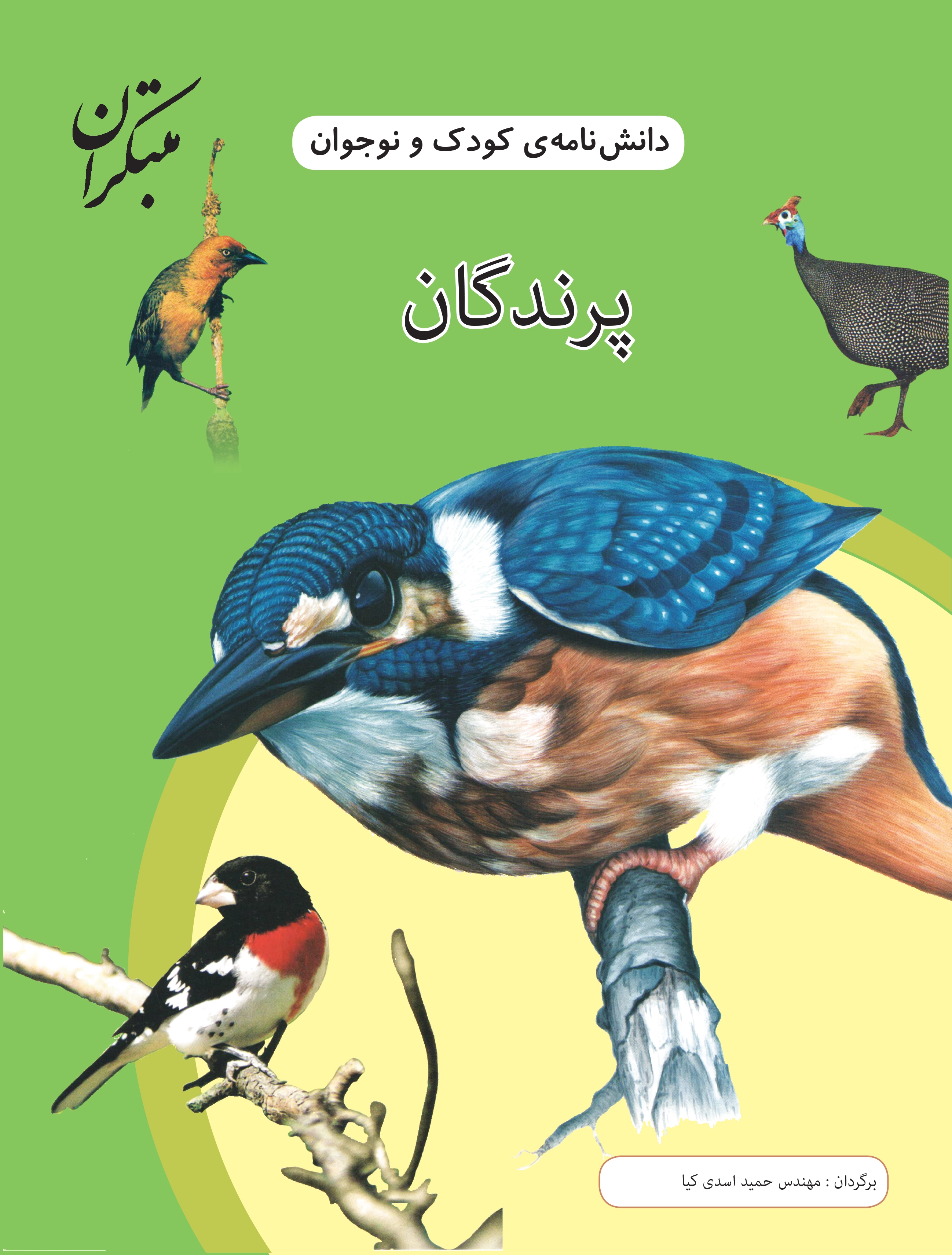پرندگان
