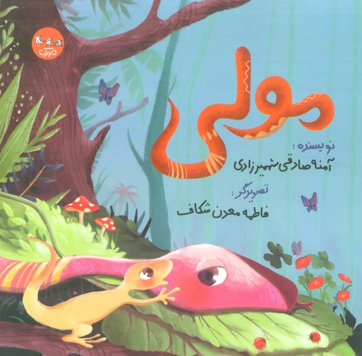 مولی