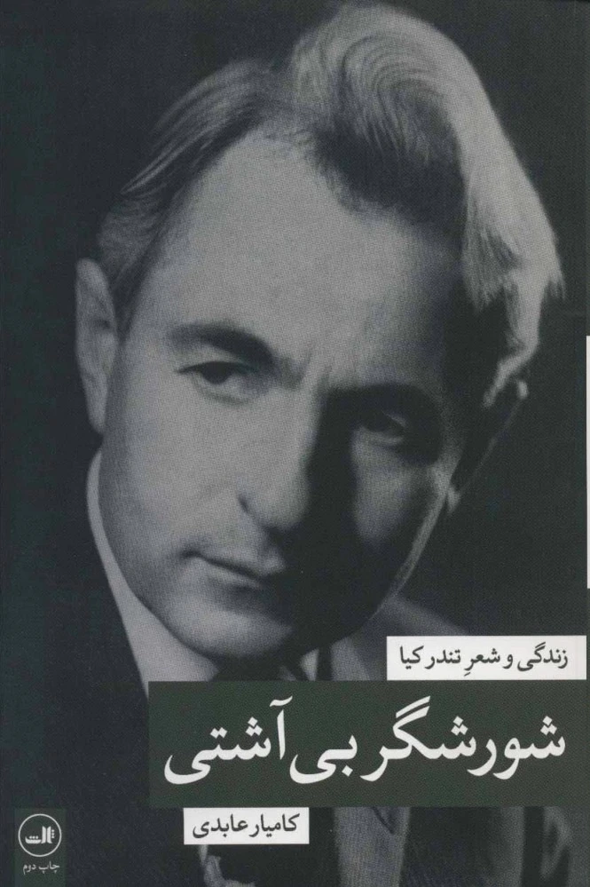 شورشگر بی آشتی