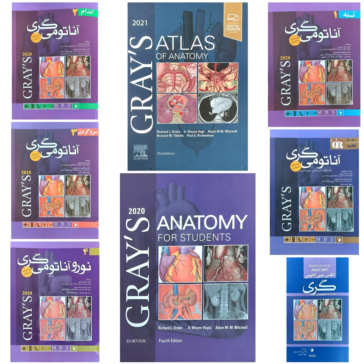 آناتومی گری