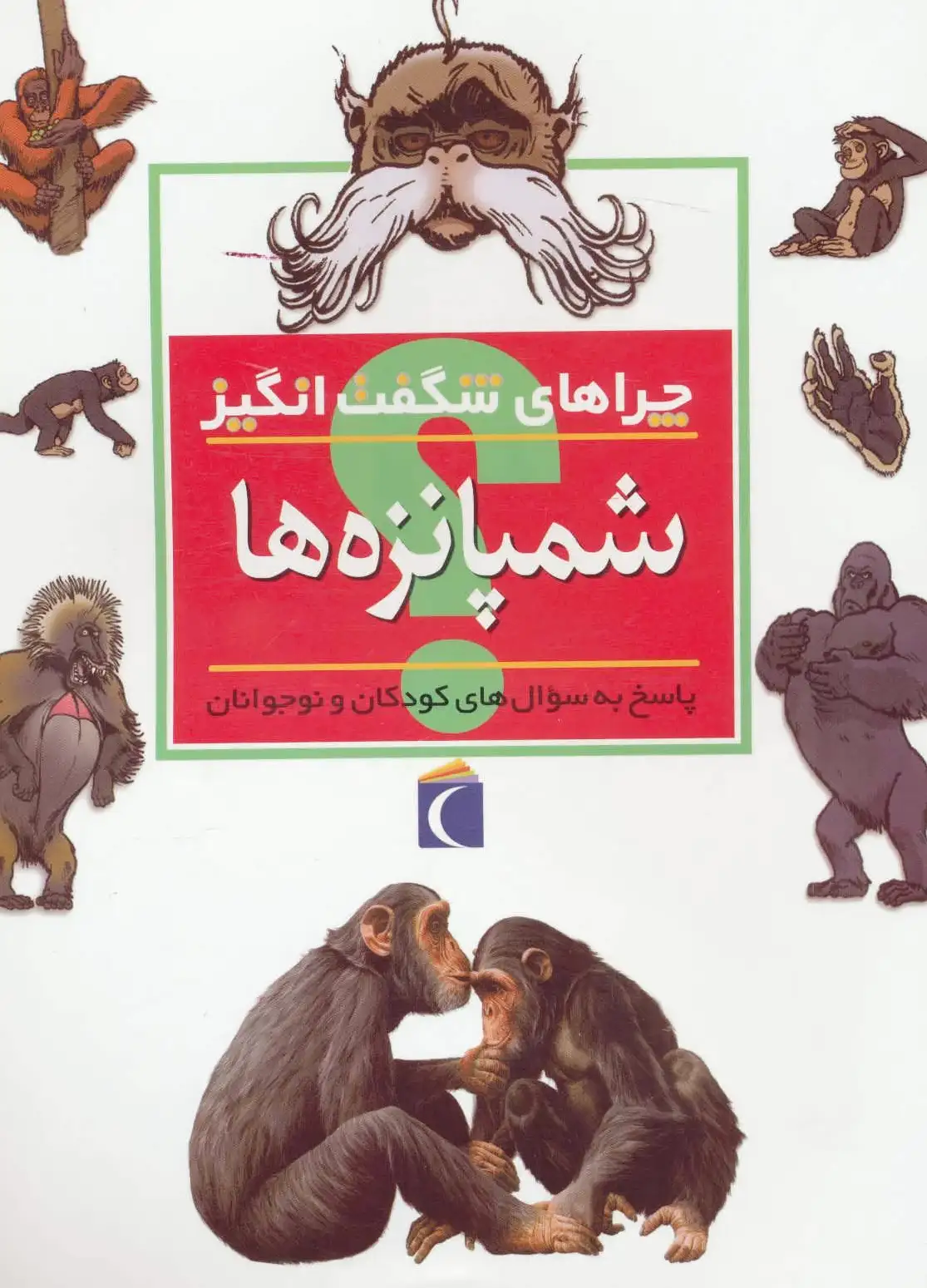 شمپانزه ها