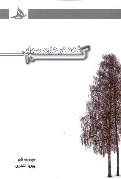 گم شده در حزن صدایی