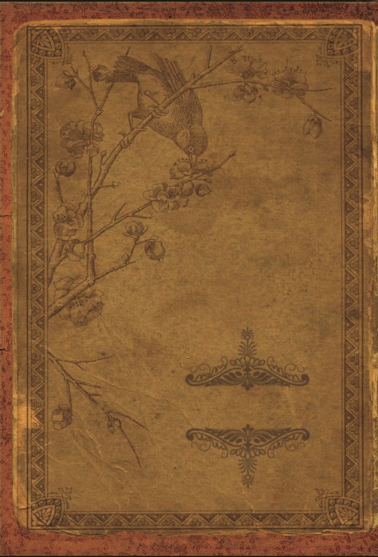 دفترچه پرستو (پالتویی)