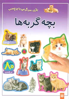 بچه گربه ها