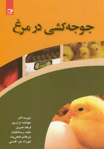جوجه کشی در مرغ