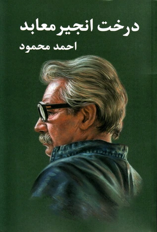 درخت انجیر معابد (? جلدی)