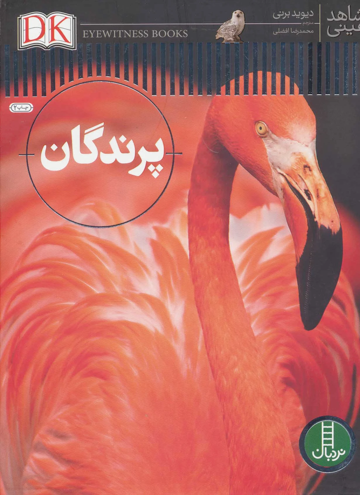 پرندگان