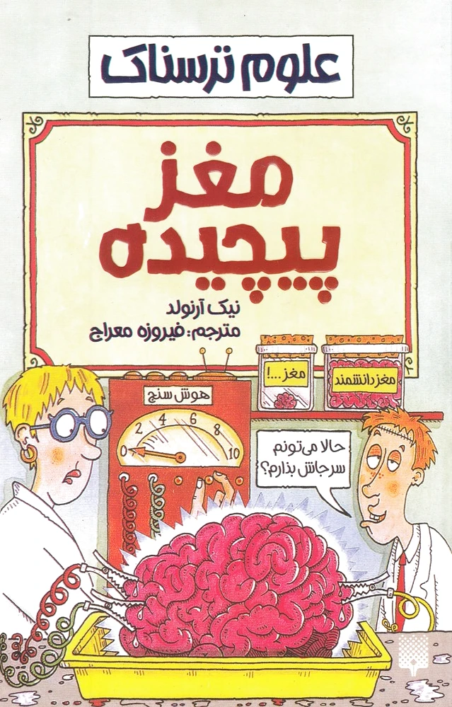 مغز پیچیده