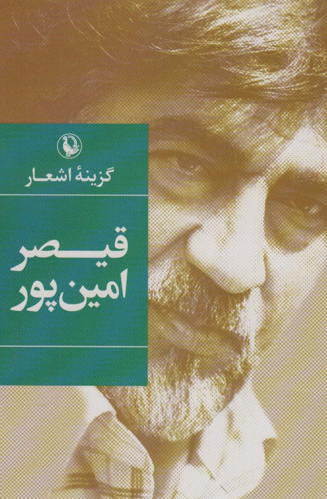 گزینه اشعار16 (قیصر امین پور) - 0