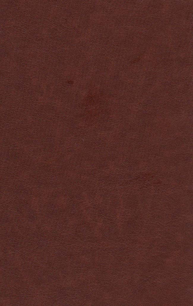 لیلی و مجنون (چرم،پلاک دار،لیزری،باقاب) - 1