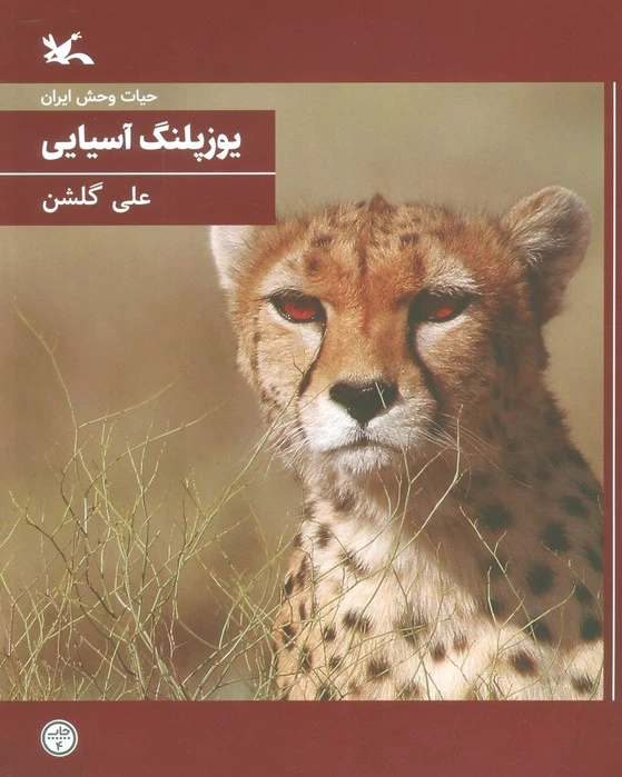 یوزپلنگ آسیایی (وزیری)