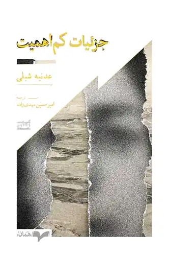 جزئیات کم اهمیت