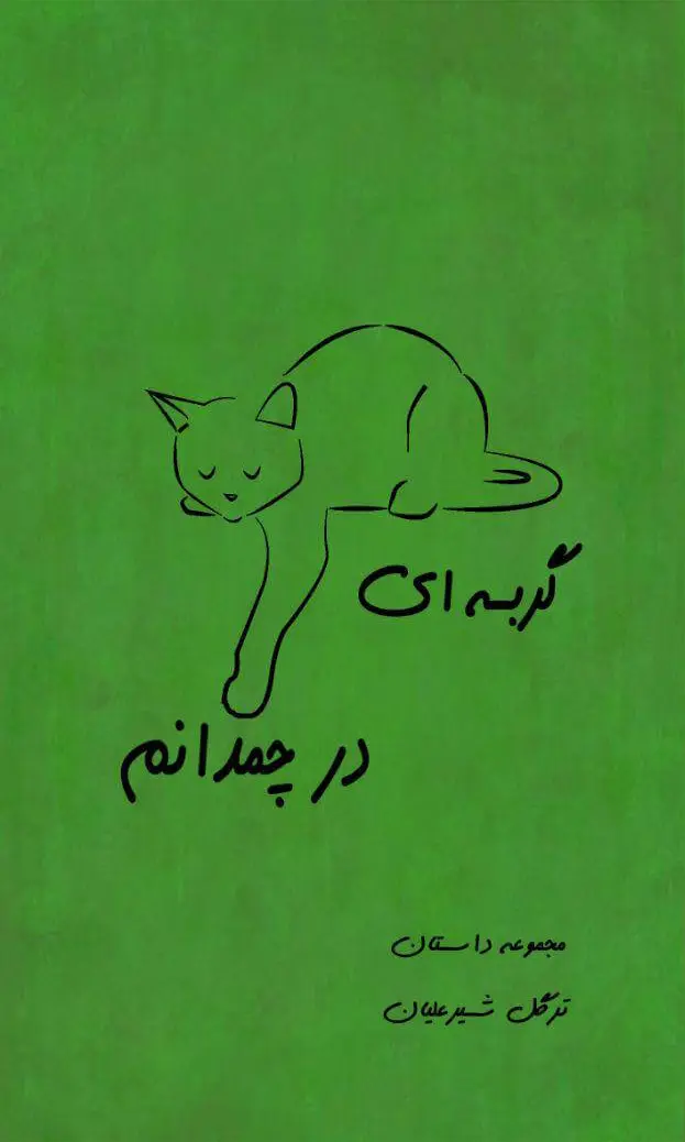 گربه ای در چمدانم