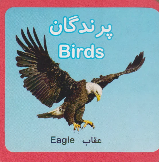 پرندگان