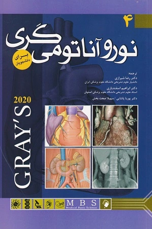 نوروآناتومی