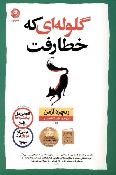 گلوله ای که خطا رفت