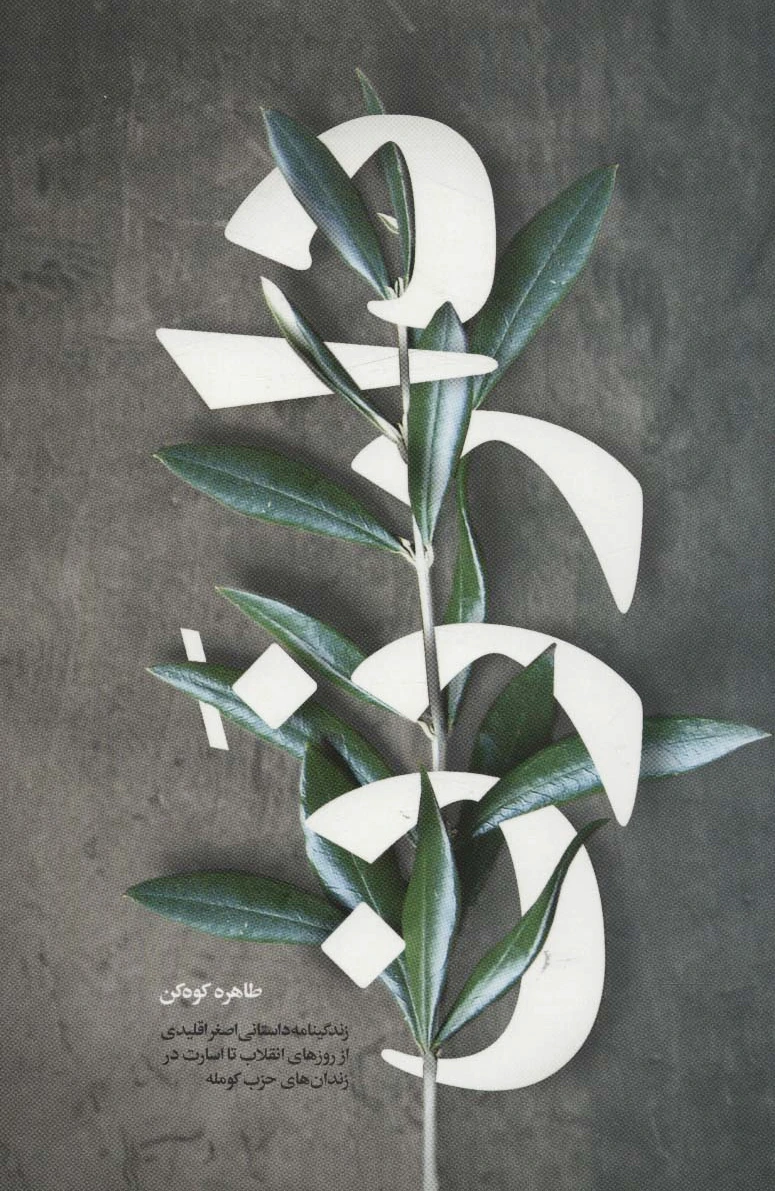 دار زن