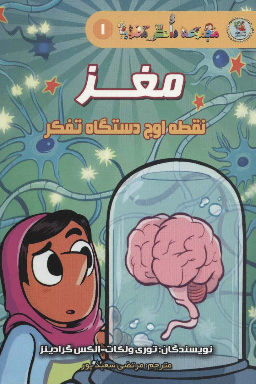 مغز