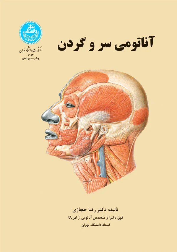 آناتومی سر و گردن