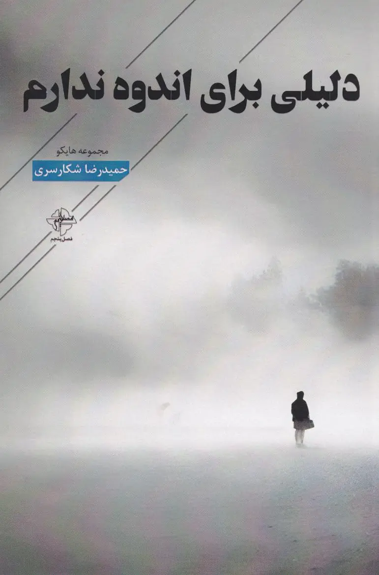 دلیلی برای اندوه ندارم