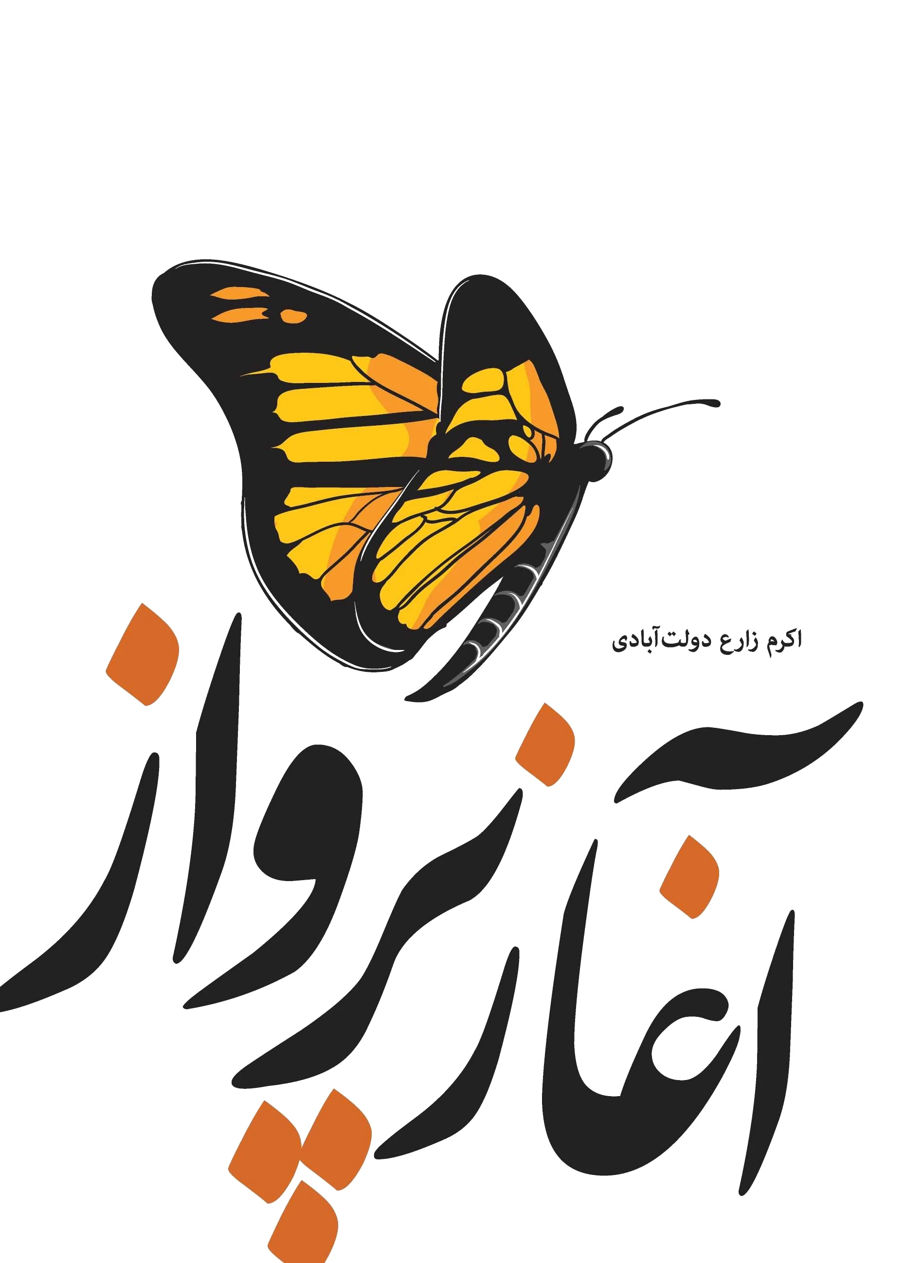 آغاز پرواز