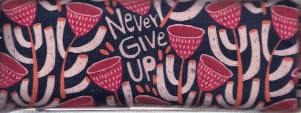 جامدادی مکعبی never give up