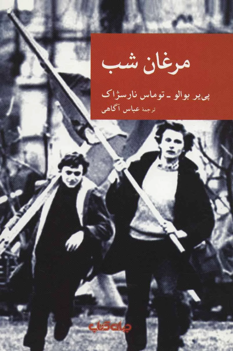 مرغان شب