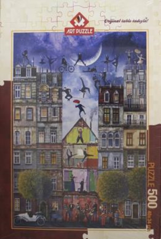 پازل 4199 (500 تکه) Dream street
