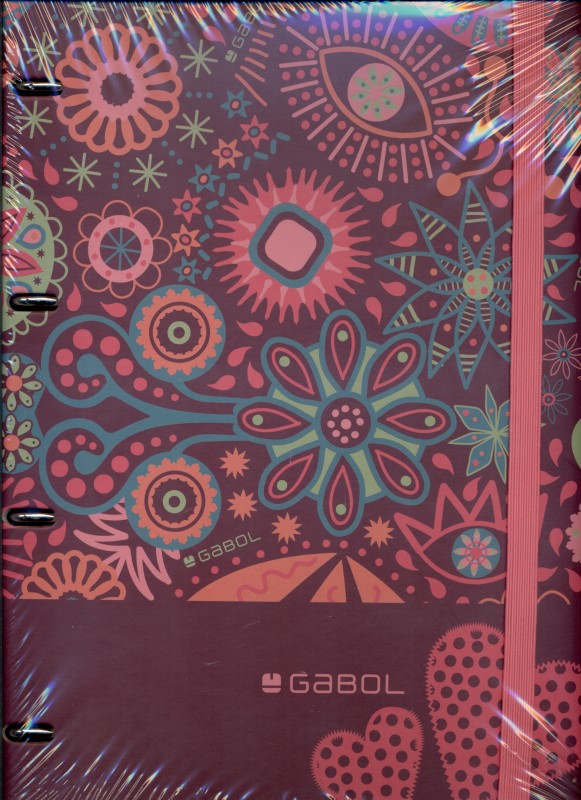 کلاسور 4 حلقه (221915099)