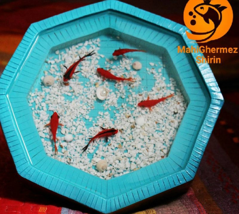 حوض مادربزرگ بزرگ